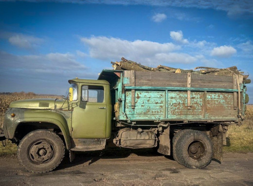 У Конотопському районі викрито незаконний поруб деревини фото