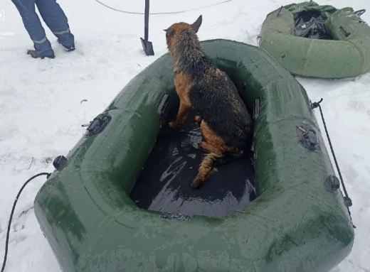 На Сумщині врятували собаку, який провалився під кригу фото