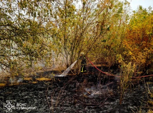 На Лебединщині чоловік постраждав під час загоряння сухостою фото