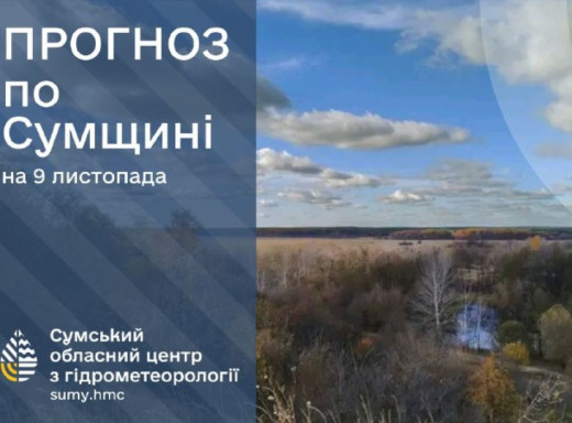 Сумські синоптики прогнозують на вихідних туманні ранки фото