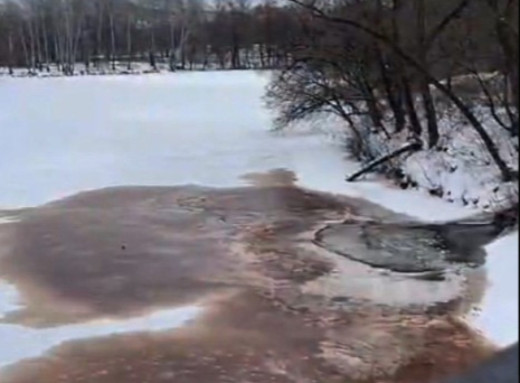 12-кратне перевищення заліза: результати аналізу води з Псла біля Харківського мосту фото