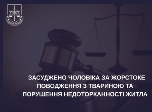 Жорстоке поводження з твариною на Сумщині: чоловік, який побив сусідську кішку палицею, відбувся умовним терміном фото