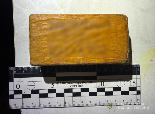 Поліція вилучила у лебединця патрони, тротилову шашку та електродетонатор фото