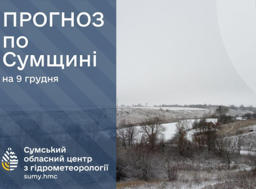 На Сумщині очікується мінлива погода з опадами та ожеледицею фото