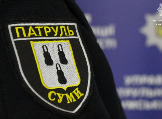 На околиці Сум врятували налякану тварину, що потрапила у сітку (відео) фото