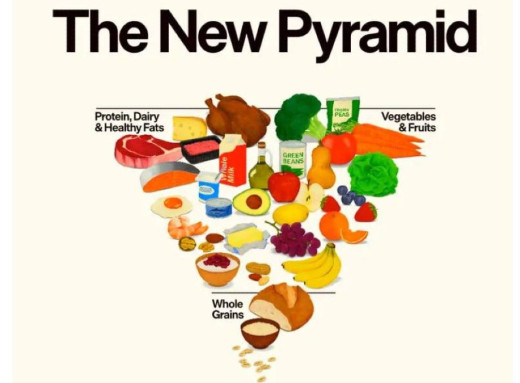 Нова харчова піраміда США: у центрі білок і молочні продукти, а алкоголь радять просто обмежувати фото