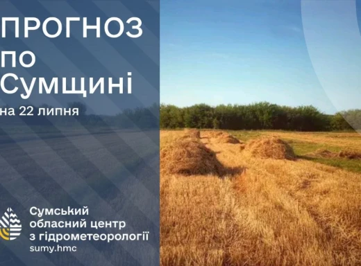 На Сумщині очікуються грози на початку нового тижня: прогноз погоди на 22-24 липня фото