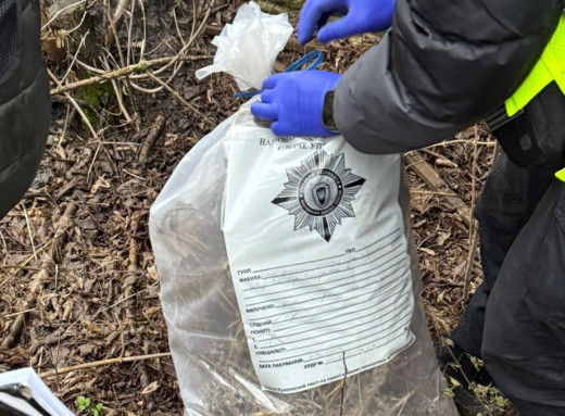 Суд відправив 21-річного чоловіка за зберігання та збут канабісу до СІЗО фото