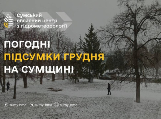 Тепліше за норму та мало опадів: як минув перший місяць зими на Сумщині фото