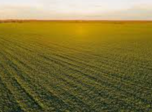 Громаді Роменського району повернули 480 гектарів землі, які орендували через підставну фірму фото