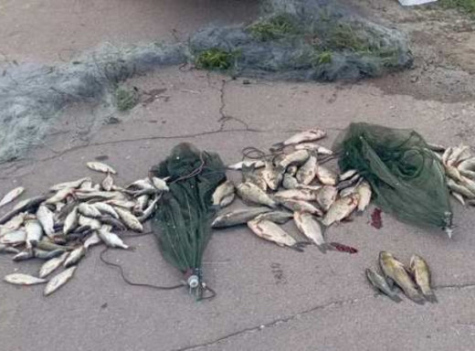На Чернігівщині затримали браконьєра з Конотопа, який наловив риби на понад 220 тис. грн фото На Чернігівщині затримали браконьєра з Конотопа, який наловив риби на понад 220 тис. грн фото