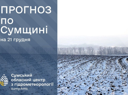 На Сумщині на вихідних очікується мінлива погода з плюсовою температурою фото