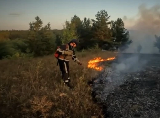 Ворог обстріляв Сумщину: рятувальники ліквідували пожежу в лісі фото