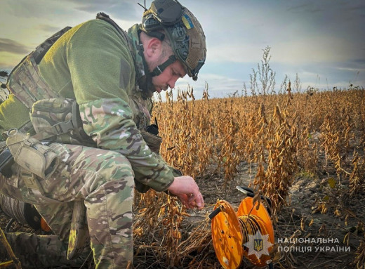 Поліцейські Сумщини знищили збитий російський «Шахед» з протитанковими мінами ПТМ-3 фото Поліцейські Сумщини знищили збитий російський «Шахед» з протитанковими мінами ПТМ-3 фото