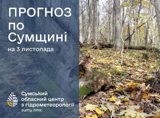 Прогноз погоди на Сумщині на початок тижня: очікуються невеликі дощі фото
