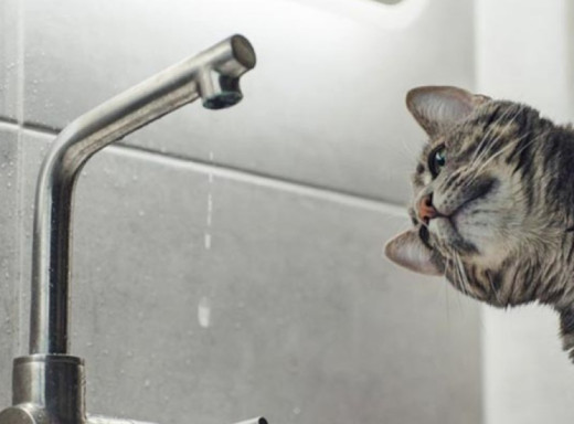 У Сумах через перебої зі світлом зупинився один із водозаборів фото