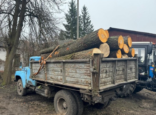 У Конотопі судитимуть лісника зі спільником за спробу крадіжки деревини фото У Конотопі судитимуть лісника зі спільником за спробу крадіжки деревини фото