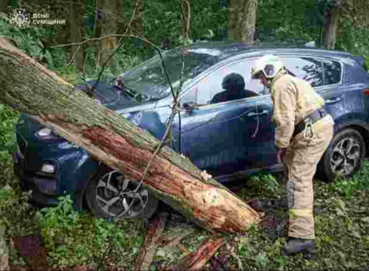 Рятувальники Сумщини звільнили авто з-під дерева, що впало внаслідок негоди фото