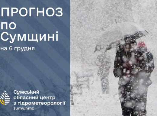 На Сумщині очікується сніг та ожеледиця фото