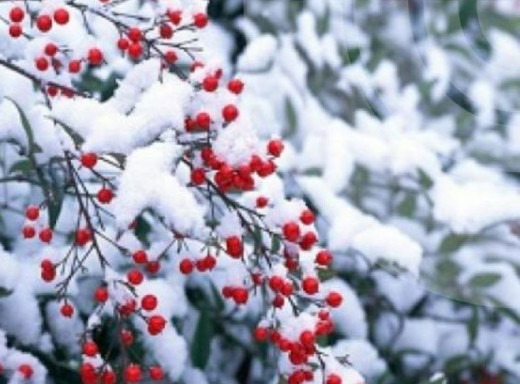 На Сумщині 10 грудня очікується сніг, дощ, ожеледь та налипання мокрого снігу фото