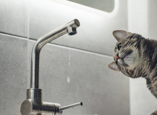 Кілька вулиць у Сумах залишилася без води фото