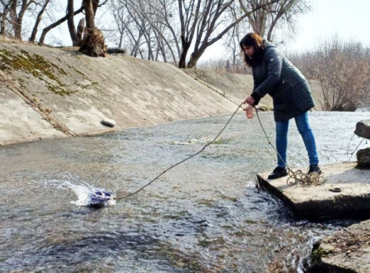 Річка Сумка та її притоки забруднені органікою: держекоінспекція зафіксувала перевищення норм фото