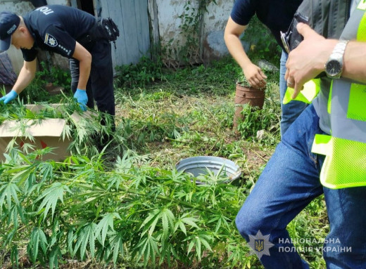 На Глухівщині поліція виявила незаконне вирощування та зберігання наркотиків фото