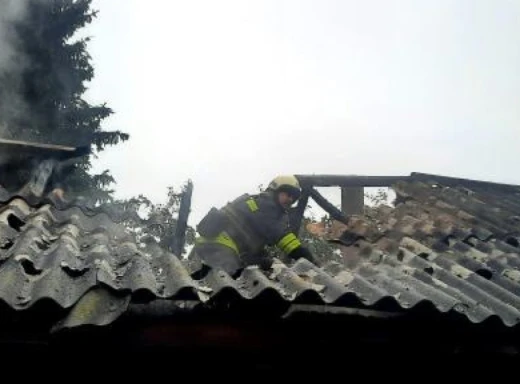 На Сумщині рятувальники оперативно ліквідували пожежу в житловому секторі (відео) фото