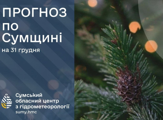 Погода на Новий рік у Сумах: очікується мінлива хмарність та помірний вітер фото