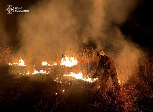 На Сумщині рятувальники 25 разів ліквідували пожежі в екосистемах фото