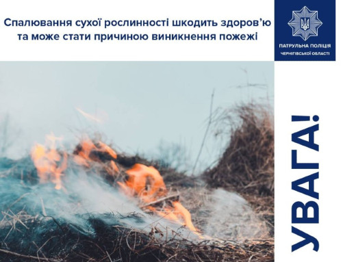 Українців попереджають про небезпеку спалювання сухостою і сміття фото