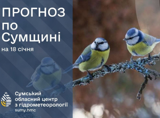 Синоптики прогнозують на Сумщині мінливу погоду з опадами фото