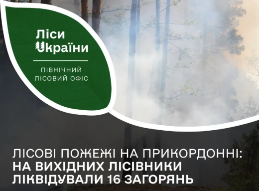 Російські обстріли спричинили масштабні лісові пожежі на Сумщині фото