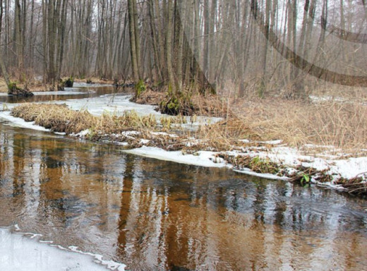 На Сумщині на початку тижня очікуються нічні морози та ожеледиця фото