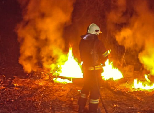 На Сумщині вогнеборці приборкували масштабні загоряння сухої рослинності фото