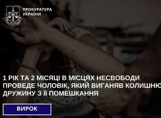 Рік і два місяці за ґратами: вирок за систематичне домашнє насильство на Сумщині фото
