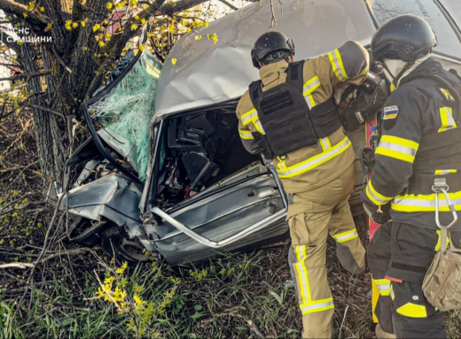 Рятувальники визволили чоловіка з понівеченої автівки в Сумському районі (відео) фото
