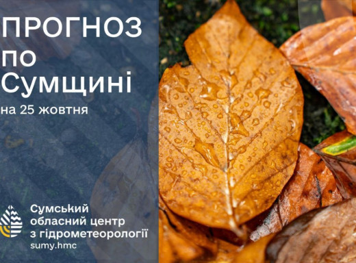 На Сумщині вночі 25 жовтня очікується значний дощ та пориви вітру до 20 м/с фото На Сумщині вночі 25 жовтня очікується значний дощ та пориви вітру до 20 м/с фото