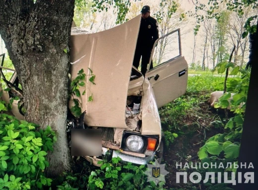 На Конотопщині автівка зіткнулася з деревом: одна загибла, двоє постраждалих фото