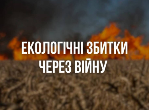 Екологічні збитки Сумщини від війни сягнули понад 15 мільярдів гривень фото Екологічні збитки Сумщини від війни сягнули понад 15 мільярдів гривень фото