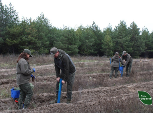 Живий пам'ятник Герою: на Конотопщині з'явився Ліс пам’яті на честь загиблого воїна-лісівника фото