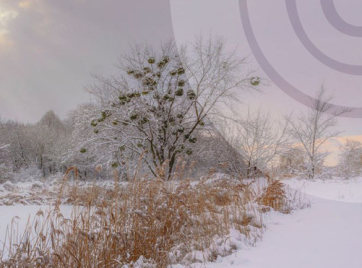 Ожеледиця, морози та мінлива хмарність: прогноз погоди на найближчі три дні для Сумщини фото