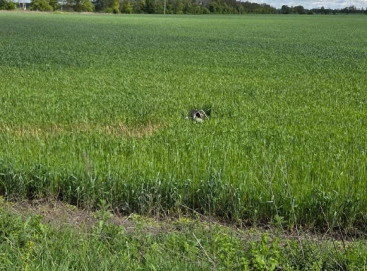 На прикордонні Сумщини внаслідок ворожого удару БпЛА загинули чоловік та жінка фото