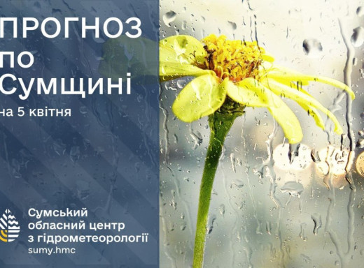 На Сумщині очікується суттєве погіршення погодних умов: сніг, ожеледиця та заморозки фото На Сумщині очікується суттєве погіршення погодних умов: сніг, ожеледиця та заморозки фото