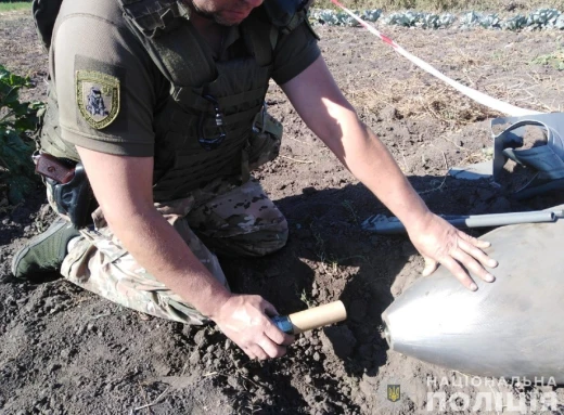 На Сумщині знешкодили ворожу авіабомбу, яка впала на городи фото