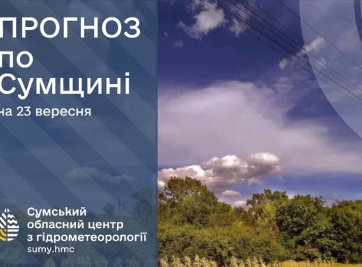 На Сумщині очікується похолодання і заморозки фото