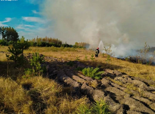 На Сумщині рятувальники гасили понад 20 пожеж сухої рослинності фото