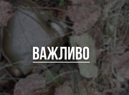 На Сумщині чоловік підірвався на міні, збираючи гриби фото