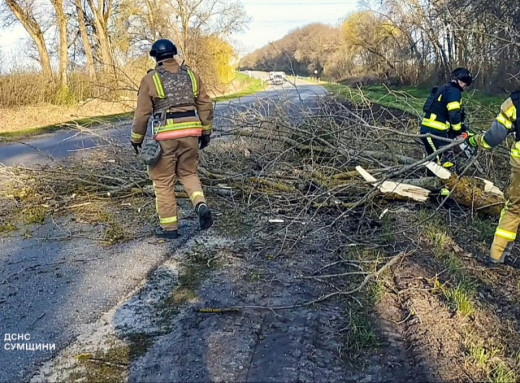 На трасі «Суми — Київ» рятувальники прибрали дерево, що перекрило рух фото