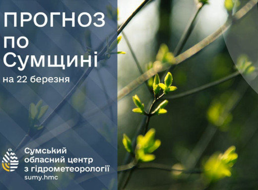 Прогноз погоди на вихідні на Сумщині: тепло і нічний сніг фото